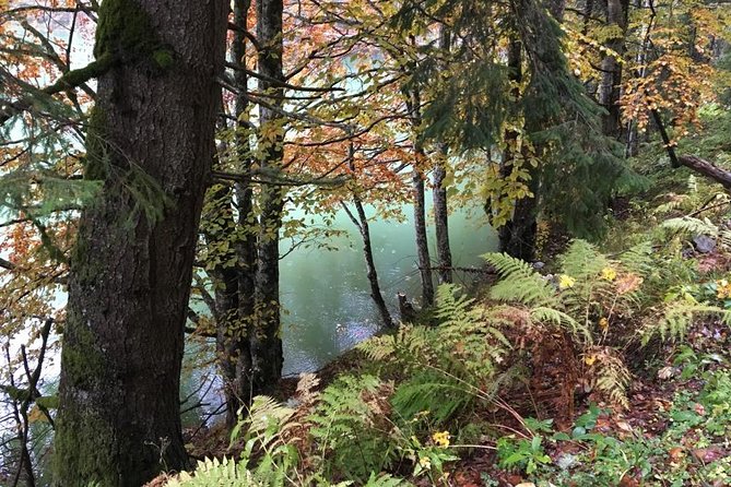 1 Day 4x4 Tour in Carpathian Mountains - Price and value: $191.05 is not cheap, but here’s what you’re getting