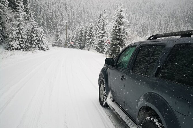 1 Day 4x4 Tour in Carpathian Mountains - Weather and real-world comfort: what to watch before you go