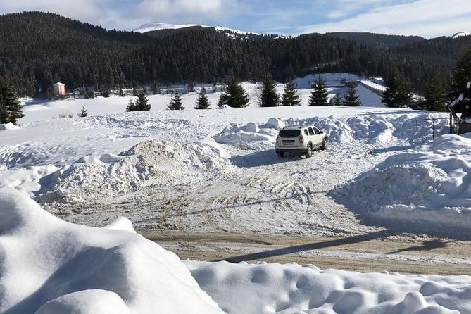 1 Day 4x4 Tour in Carpathian Mountains - Why Bucegi Natural Park is the real reason to go