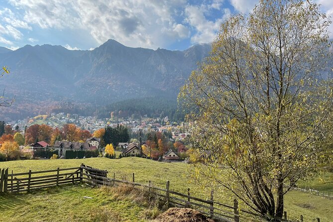 1 Day ATV Tour in Carpathian Mountains - The ATV/quad outing in the Carpathians: what you’re really buying