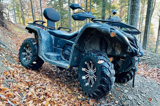 1 Day ATV Tour in Carpathian Mountains - Why the small group matters (and how flexibility shows up)