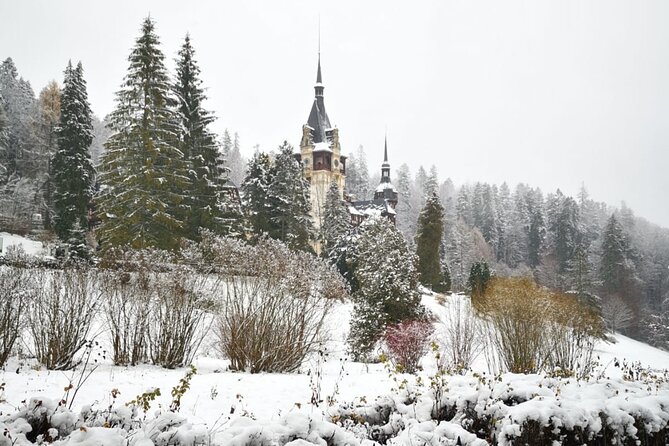 1 Day Castles Tour - Sinaia and Bran - Stop 2: Gondola ride up toward 2100 meters (optional)