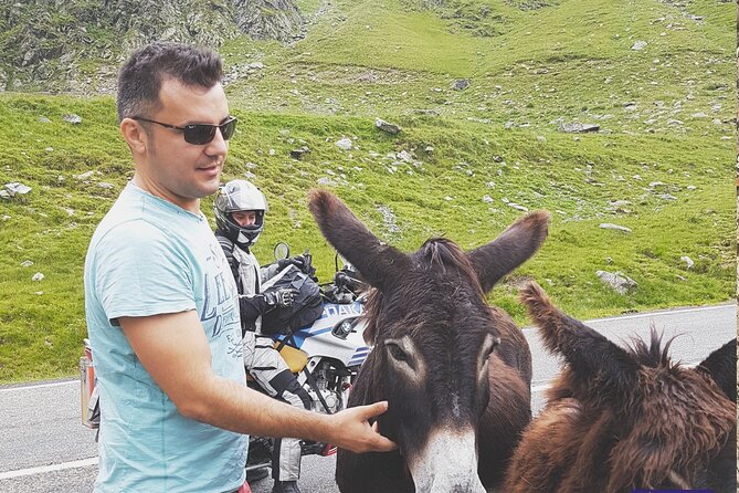 10-Day Private Tour of Romania with Pick Up - Day 6 in Bucovina-style countryside: Barsana’s wooden height, Tihuța Pass, and Ciocănești