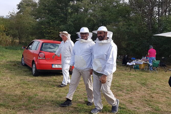 10 hours Private Apiary Tour in Romania - From Bucharest - The apiary tour in Vâlcea County: beekeeping you can understand