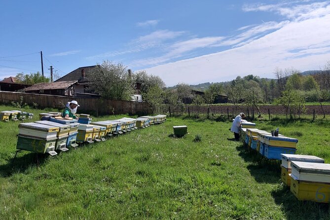 10 hours Private Apiary Tour in Romania - From Bucharest - Romanian lunch with a honey-based dessert: a real food payoff