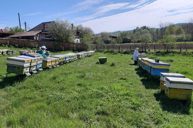 10 hours Private Apiary Tour in Romania - From Bucharest - Guides like Nicolas and Sebastian: what makes the day feel personal