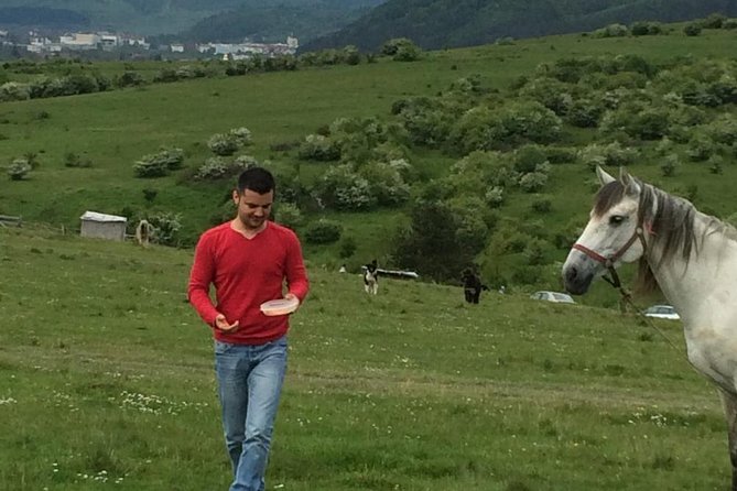 2 Days Private Tour Transfagarasan Road & Sibiu from Bucharest - Comfort, timing, and how to customize without breaking the plan