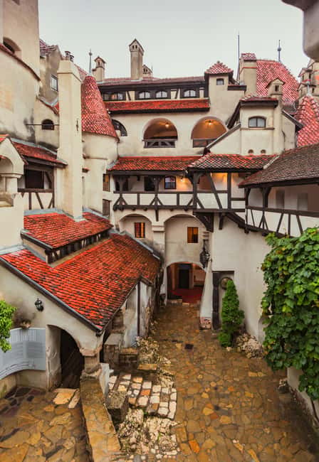 3 Castle Bucharest: Dracula Castle, Wednesday & Peles Castle - Cantacuzino Castle in Bușteni: Wednesday-Linked Nevermore Academy Atmosphere