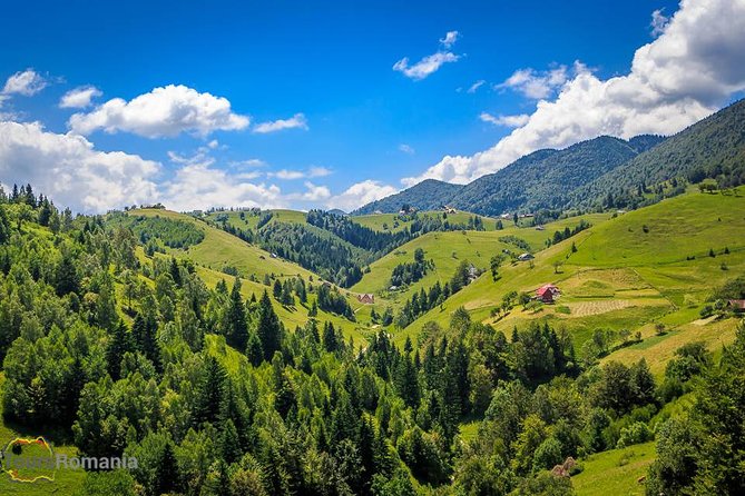 3-Day Tour from Bucharest: Transylvania Villages and Medieval Towns - Price and what you actually get for $776.71