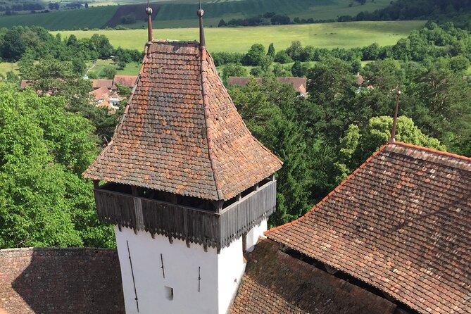4-Day Private Tour: Bucharest to Budapest via Transylvania - Day 4: A 3-hour Timișoara walk and why the last day matters