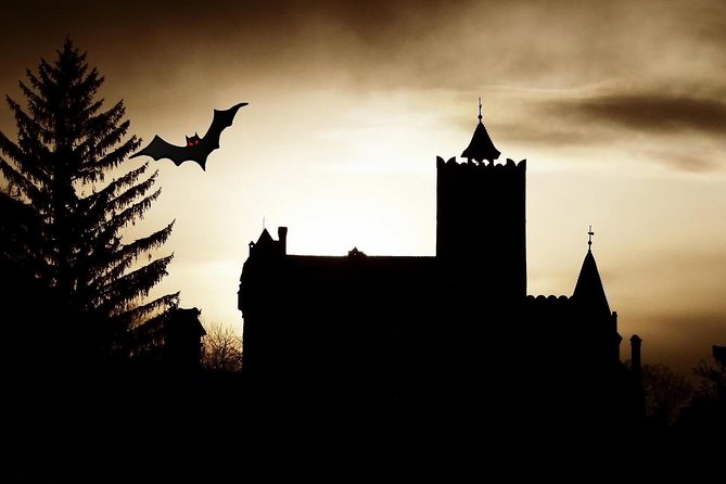 4-Day Transylvania and Dracula Tour from Bucharest - Day 2: Castelul Corvinilor’s Gothic Drama and Alba Iulia’s Romania Milestone