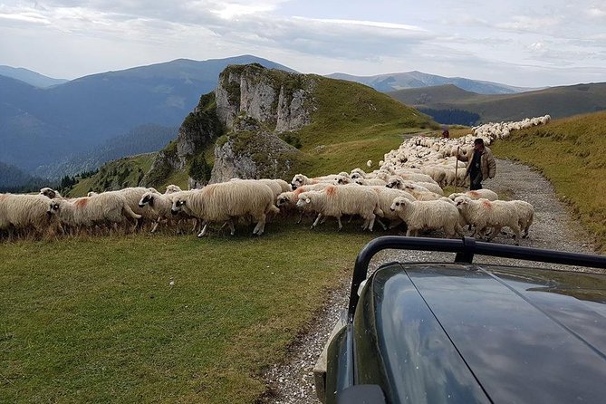 4x4 Driving Experience at Flying Altitudes - 7 Days - Day 6: Sinca Veche monastery and Barsa Land viewpoints near Poiana Brașov