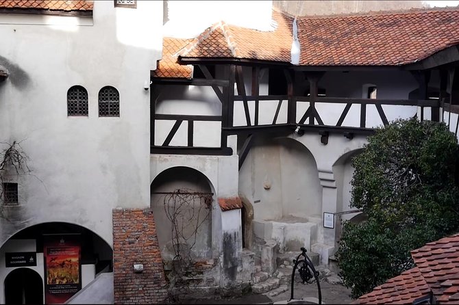 5 Days Private Tour in Romania from Bucharest to Transylvania - Day 4 Brasov Old Town and Bran Castle: Medieval Walking Plus Real Food Stops