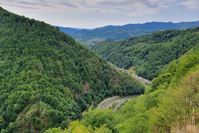 7-hour Private Tour to Bran Castle from Bucharest - Your guide and driver: why English and personality both matter