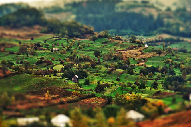 A Journey Back in Time: Countryside from Transylvania and Maramures - 15 Days - The Mocănița steam train ride: a slower pace inside the busy schedule