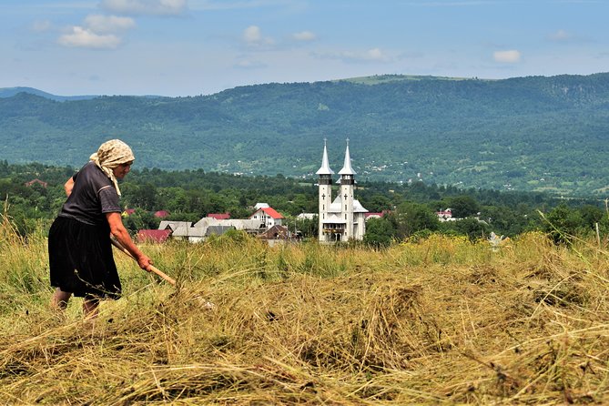 A Journey Back in Time: Countryside from Transylvania and Maramures - 15 Days - Bran Castle, Rasnov Fortress, and the bear sanctuary: more than Dracula stops
