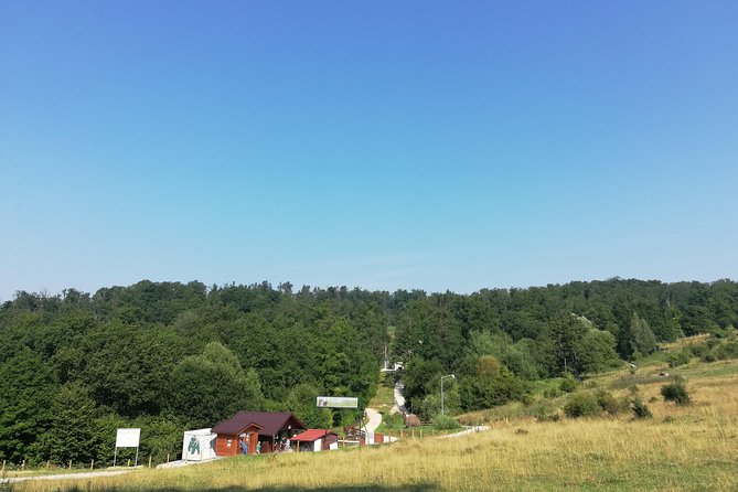 Bear Sanctuary and Dracula's Castle, 1-day Private Tour - Libearty Bear Sanctuary: Why the Early Start Makes a Difference