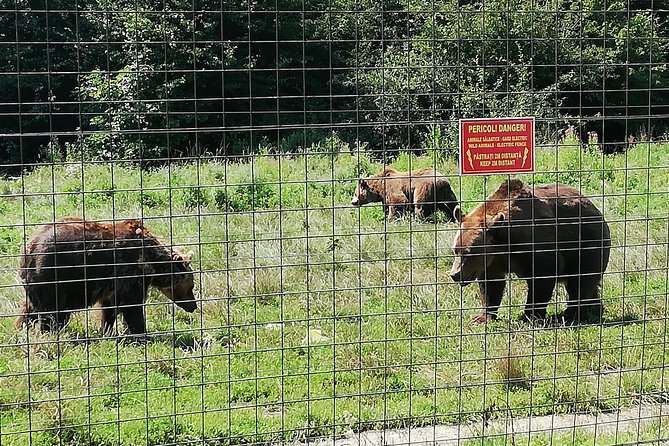 Bear Sanctuary and Dracula's Castle, 1-day Private Tour - Romania Road Time: The Long Ride With Comfort Breaks and Safety