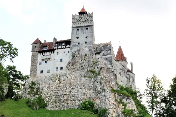 Bear Sanctuary and Dracula's Castle, 1-day Private Tour - Why Private Feels Better Here Than a Big Bus