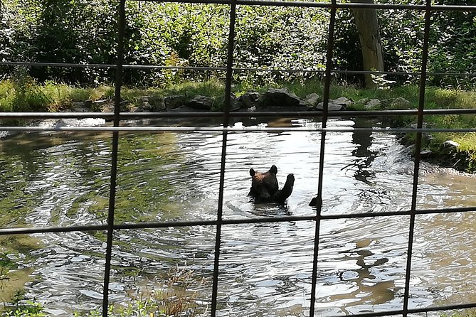 Bear Sanctuary and Dracula's Castle, 1-day Private Tour - Tickets, Money, and What You Still Need to Pay