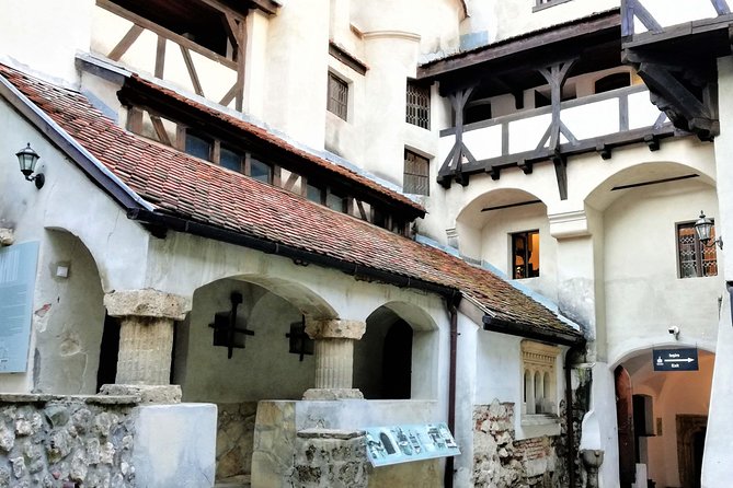 Bear Sanctuary and Dracula's Castle, 1-day Private Tour - Who This Tour Fits Best (and Who Might Want Something Else)