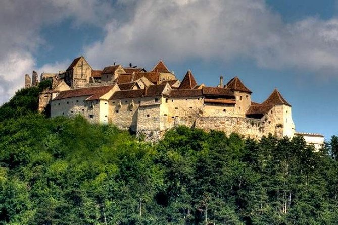 Bear Sanctuary & Rasnov Fortress - Private day tour from Bucharest - How Great Guides Turn Transit Time into Real Value