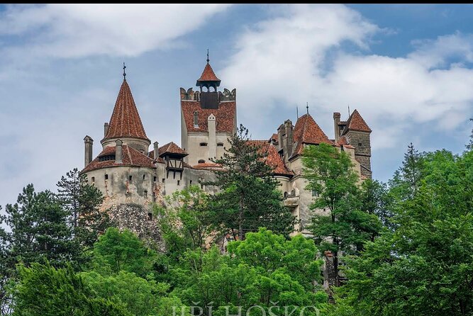 Bears Sanctuary, Dracula's Castle and Brașov City - Private Tour - One day out of Bucharest: how this route stays manageable