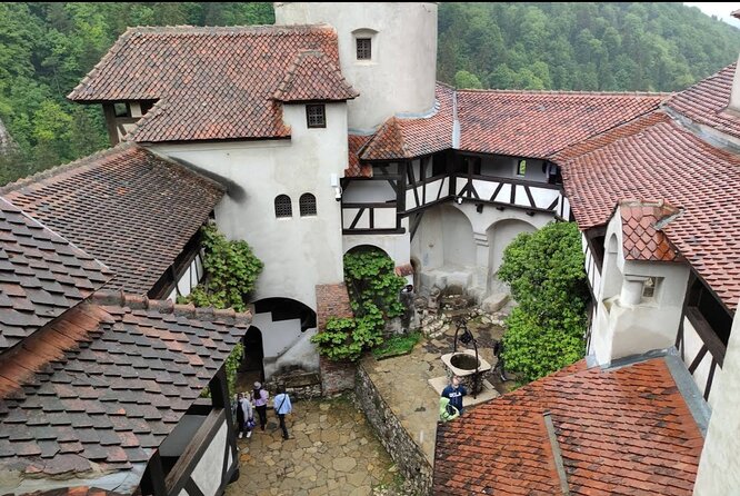 Bears Sanctuary, Dracula's Castle and Brașov City - Private Tour - Bran Castle (Dracula’s Castle): a landmark you can read like a building