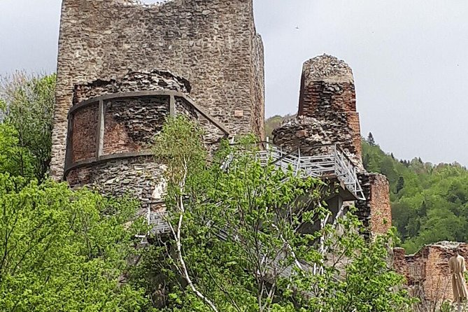 Bears Sanctuary, Dracula's Castle, Brasov Day Trip Private Tour from Bucharest - Brasov Historical Center: A Compact Walk With Real Town Energy