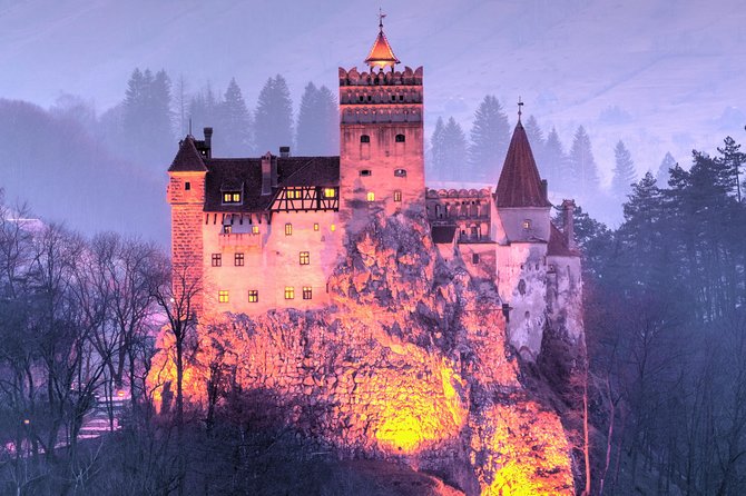 Bears Sanctuary, Dracula's Castle, Brasov Day Trip Private Tour from Bucharest - Who This Tour Is Best For (And Who Should Skip It)