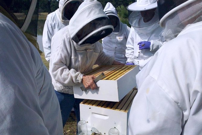 Beekeeping Day Trip| Private Guided Tour from Bucharest - Key highlights you’ll actually care about