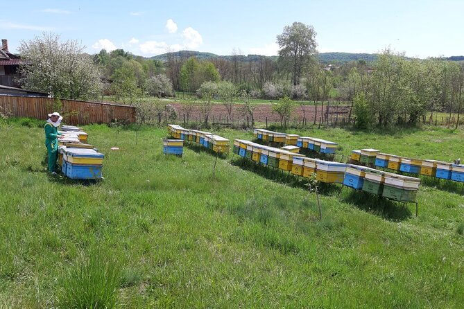 Beekeeping Day Trip| Private Guided Tour from Bucharest - A long day in the car, but with a purpose