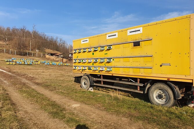 Beekeeping Day Trip| Private Guided Tour from Bucharest - Harvesting demonstration: understanding the process you usually never see