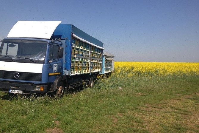 Beekeeping Day Trip| Private Guided Tour from Bucharest - Your guide experience: Nicolas Experience Tours and a personal touch