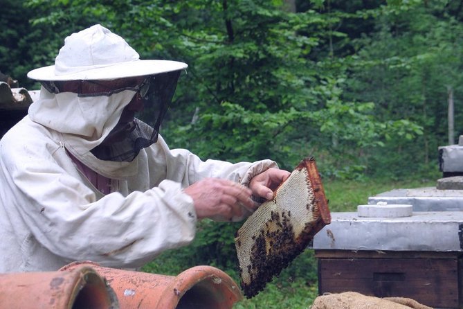 Beekeeping Day Trip| Private Guided Tour from Bucharest - Price and value: what $413.44 per person is really paying for