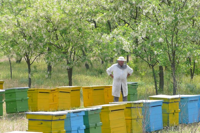 Bees Adventure in Romania - Private Day Trip from Bucharest - Key highlights to know before you go