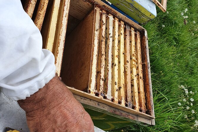 Bees Adventure in Romania - Private Day Trip from Bucharest - Why this bee tour feels practical, not just cute