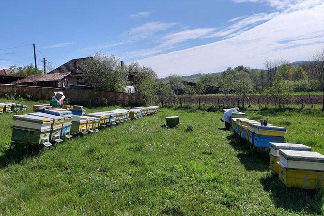 Bees Adventure in Romania - Private Day Trip from Bucharest - Price and value: what $289.40 gets you