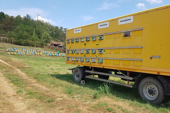 Bees Adventure in Romania - Private Day Trip from Bucharest - Weather, timing, and what to pack for a long bee day