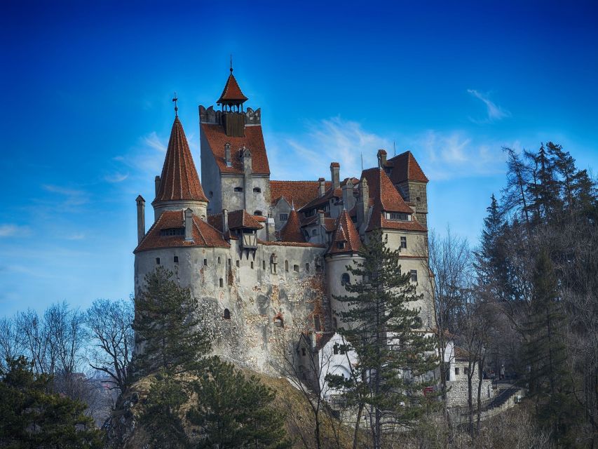Bran: Guided Castle Tour - The guide makes the difference: what to look for (and what to watch)