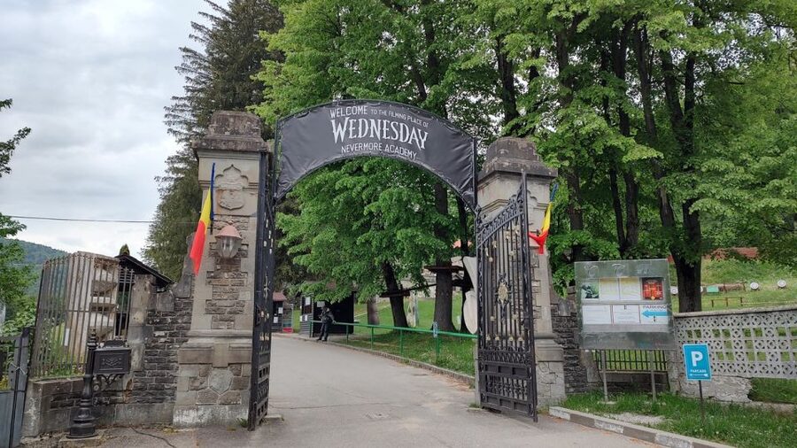Brasov: Bran, Peles and Cantacuzino Castles Day Tour - From Piața Sfatului to Castle Country: The day plan in plain terms
