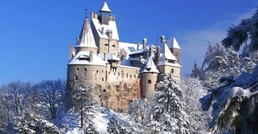 Brasov: Bran, Peles and Cantacuzino Castles Day Tour - The Carpathian drive: the scenery you’ll remember after the castles