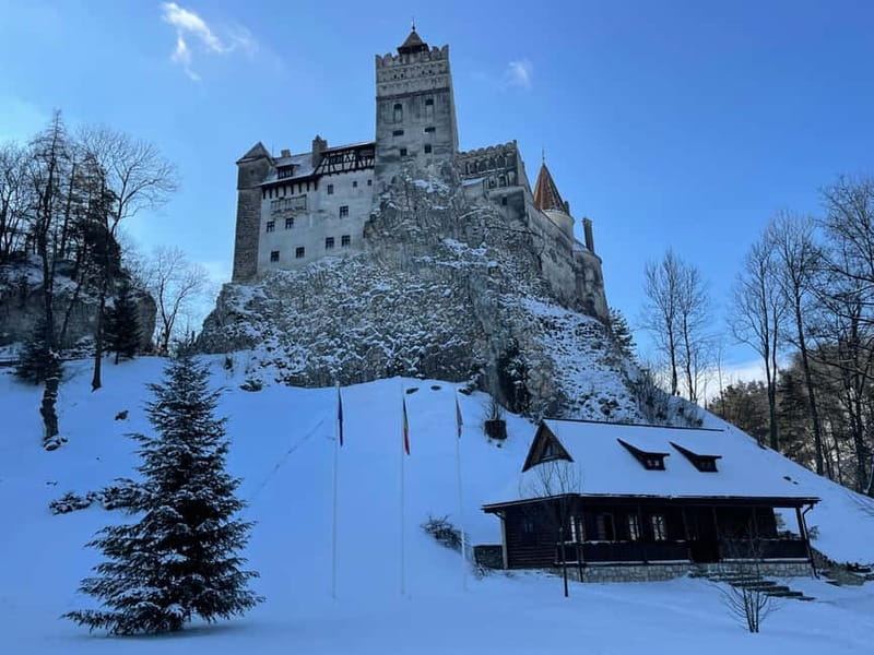 Brașov: Bran, Râșnov, and Peleș Castles Tour with Guide - Quick hits before you go: what makes this tour work