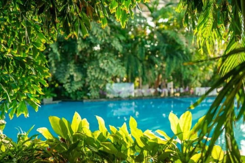 Bucharest: All Day Therme with Elysium Experience - Food and drinks: budget time, not just money