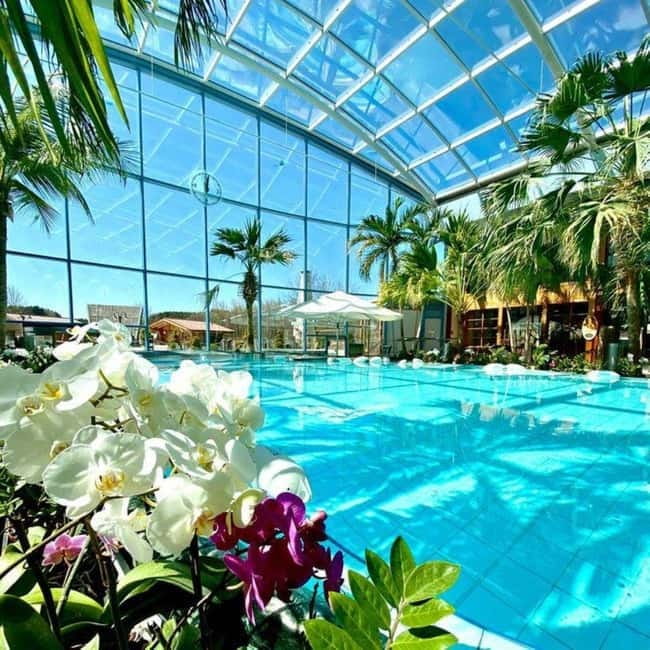 Bucharest: All Day Therme with Elysium Experience - Getting there from central Bucharest: transfer that actually helps
