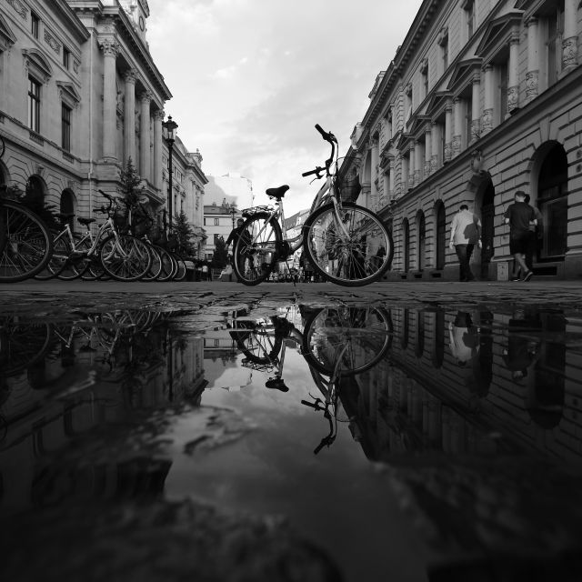 Bucharest Bike Rentals - Choosing the Right Ride: Road Bike vs Electric Bike vs Scooter