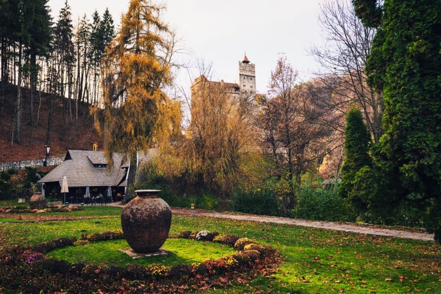 Bucharest: Bran Castle and Bear Sanctuary Small-Group Tour - A small-group Transylvania day from Bucharest