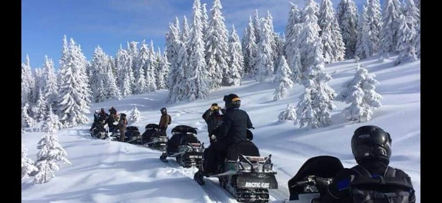 Bucharest: Carpathian Snowmobile / ATV Adventure Tour - Who This Tour Suits Best (and Who Should Skip It)