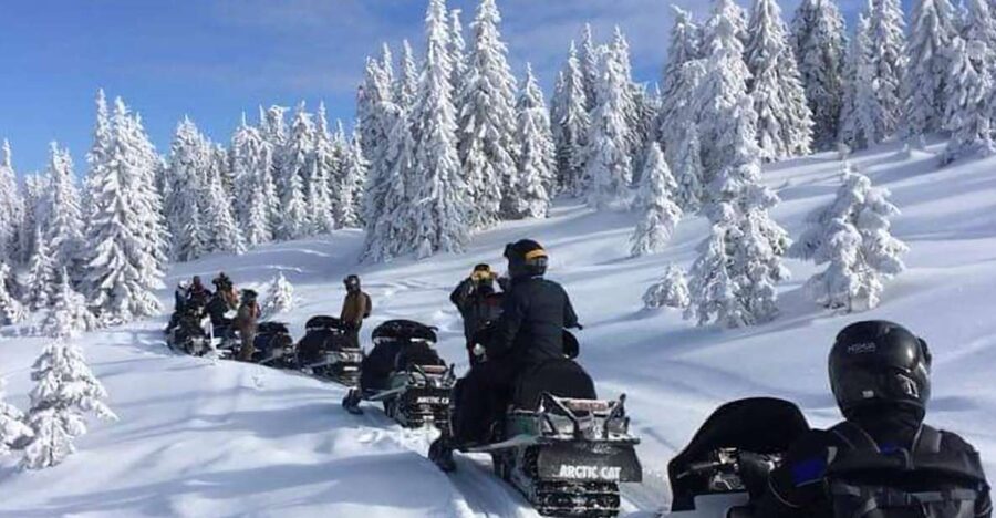 Bucharest: Carpathian Snowmobile / ATV Adventure Tour - Peleș Castle and Royal Romania: A Guided Stop That Doesn’t Drag
