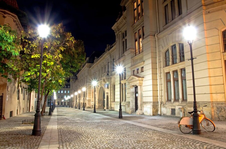 Bucharest: Charm of the Belle Époque Private Tour - Athenaeum, Royal Palace, Capșa, and the faces of high society